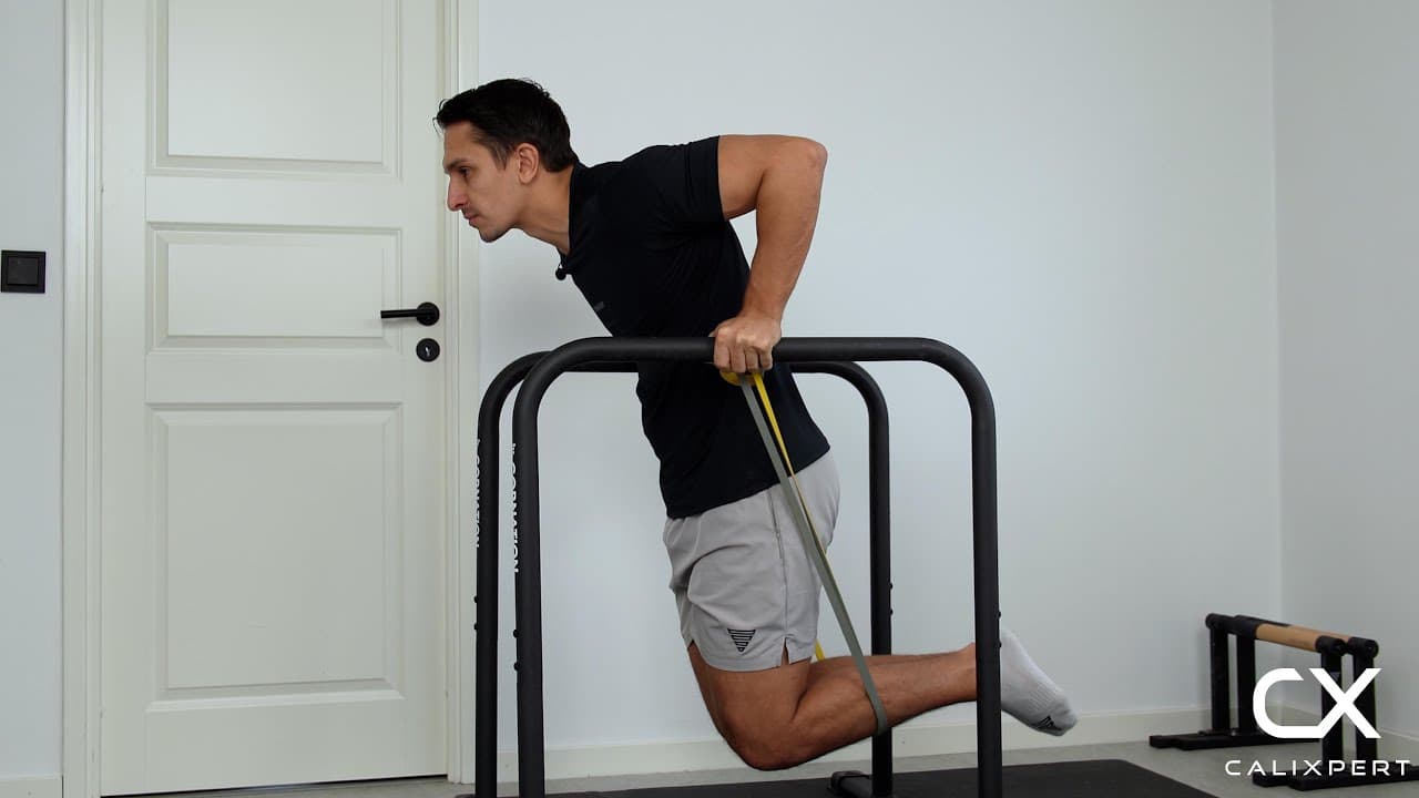 Assisterad Dips