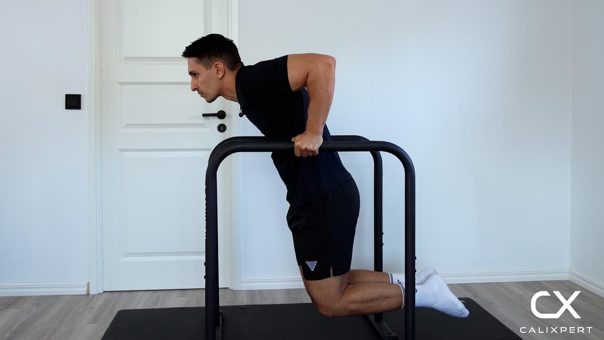 How To Do Dips: Exercise Guide | Calixpert