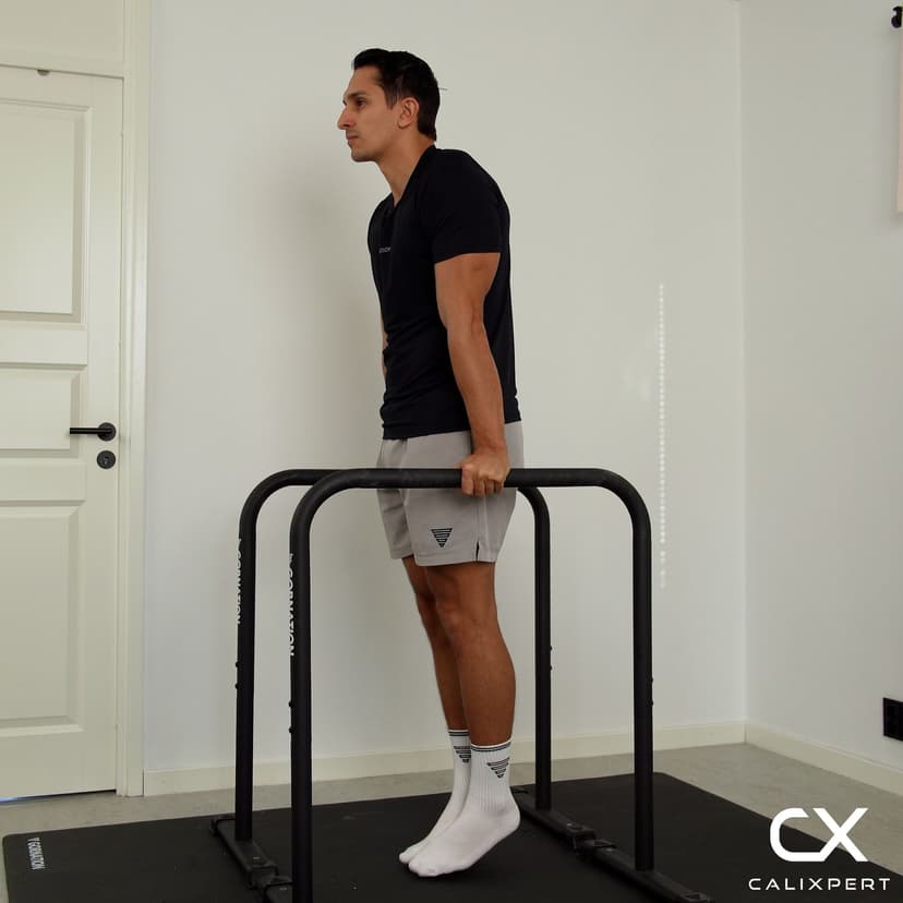 Band-Assisted Dip Support Hold (toppositionen)