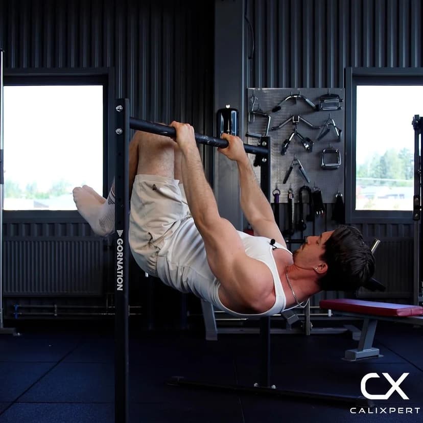 Advanced Tuck Scapula Pull Ups