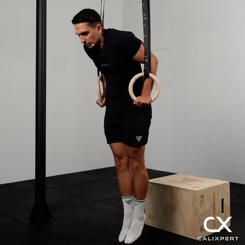 Negative Ring Dips