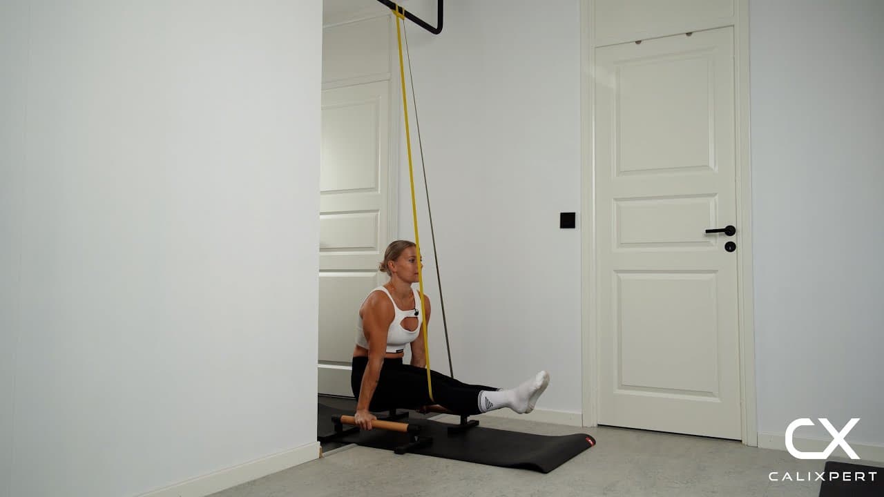 Assisterad L-sit Hold